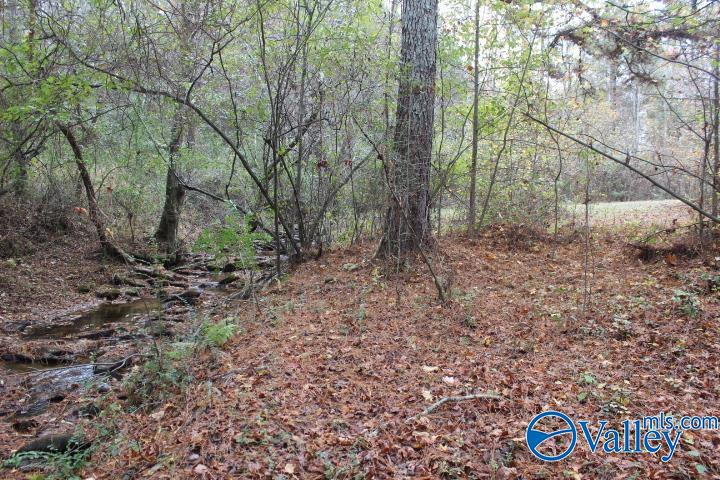 1603 Roberts Road, Henagar, Alabama image 36