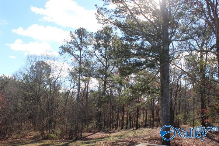 1603 Roberts Road, Henagar, Alabama image 15