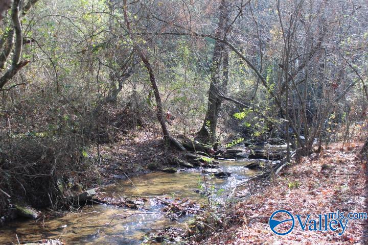 1603 Roberts Road, Henagar, Alabama image 9