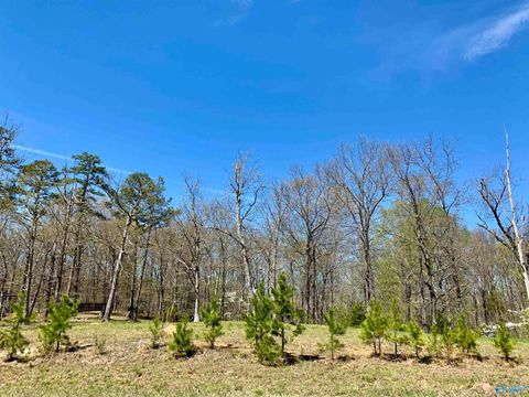 Vacant Land For Sale - 153 Ridgecreek Drive<br/> Gurley, AL 35748