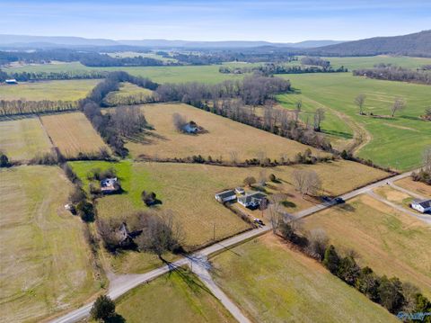 Homes For Sale - 336 Martin Childers Road<br/> New Hope, AL 35760