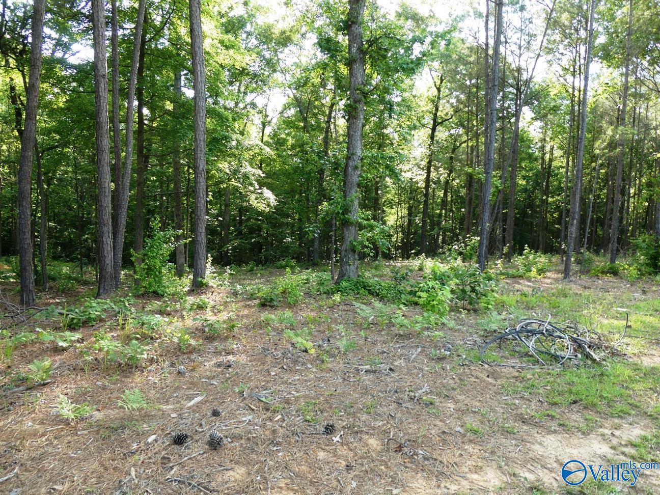 Lot 73 Harbor Lights Trail