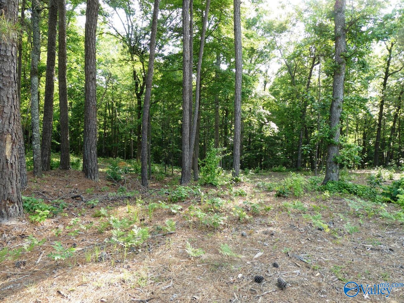 Lot 73 Harbor Lights Trail