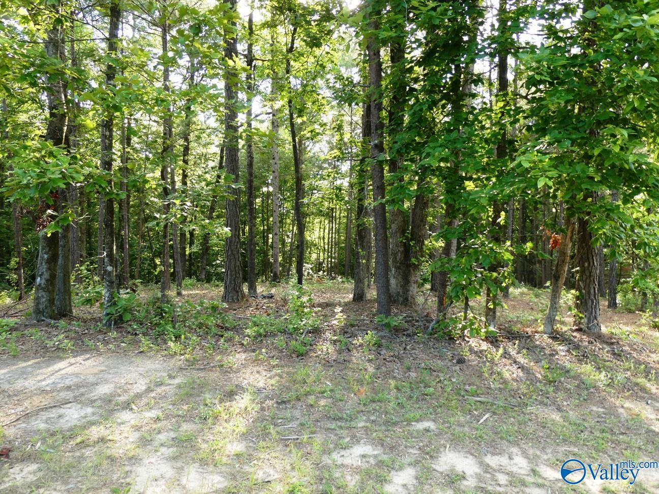 Lot 73 Harbor Lights Trail