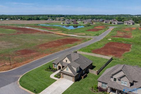 29458 Carnaby Lane Toney AL 35773