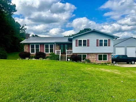 Homes For Sale - 1342 County Road 122<br/> Fort Payne, AL 35968
