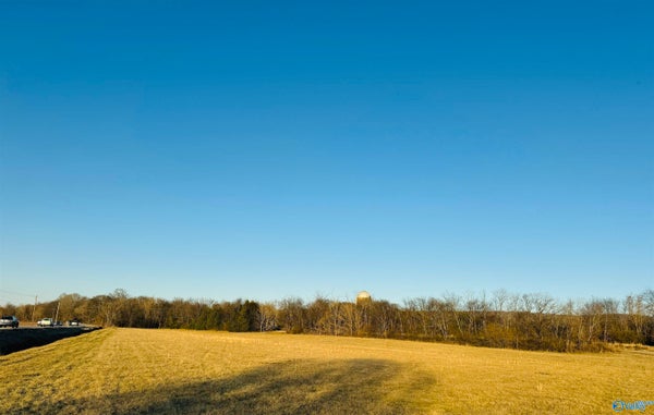 191 MOE RD, NEW MARKET, AL 35761 - Image a84a7c15215467f99bb6dfb77c3e762a/2857939823