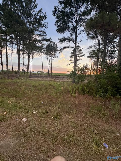 Vacant Land For Sale - 18111 Alabama Highway 71<br/> Pisgah, AL 35765