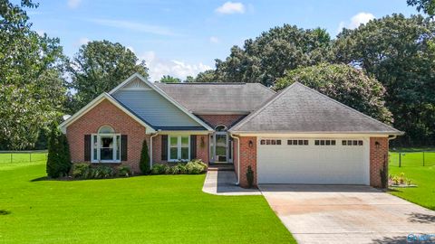 Homes For Sale - 149 Tammy Gaines Lane<br/> Huntsville, AL 35811