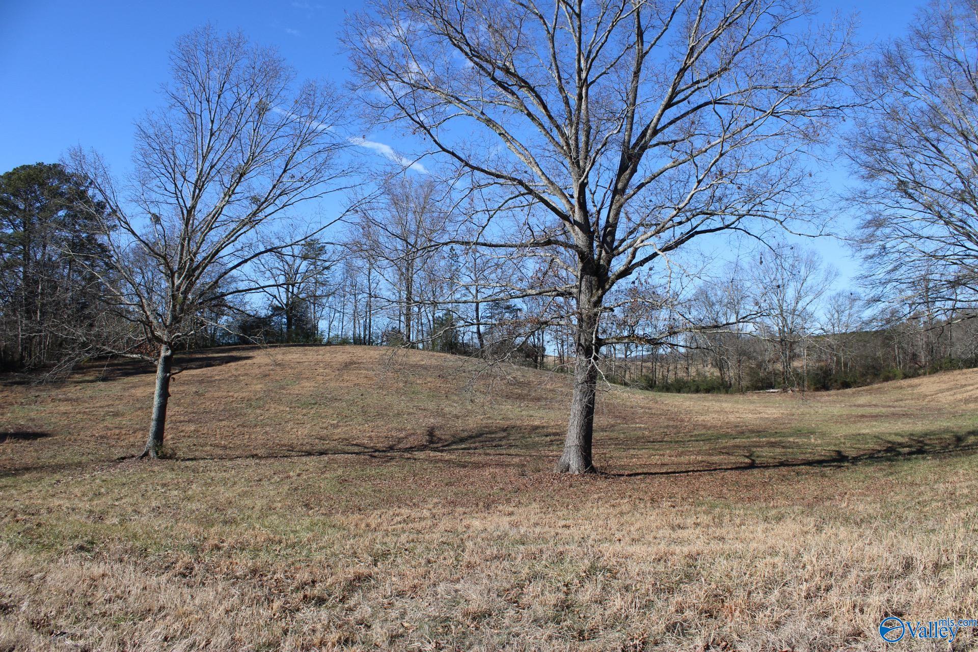 6.3 Acres Duck Springs Road, Attalla, Alabama image 3