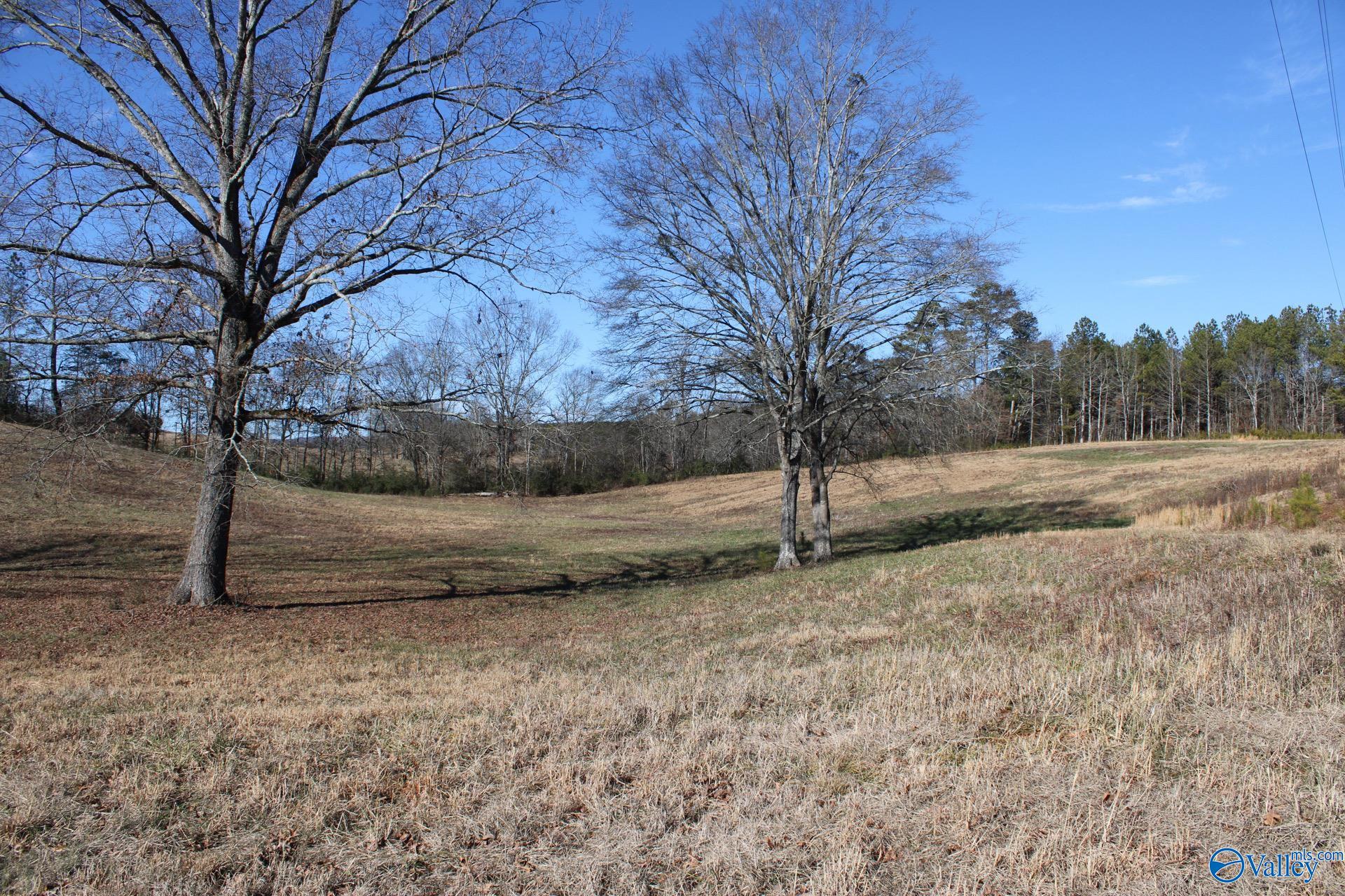 6.3 Acres Duck Springs Road, Attalla, Alabama image 2