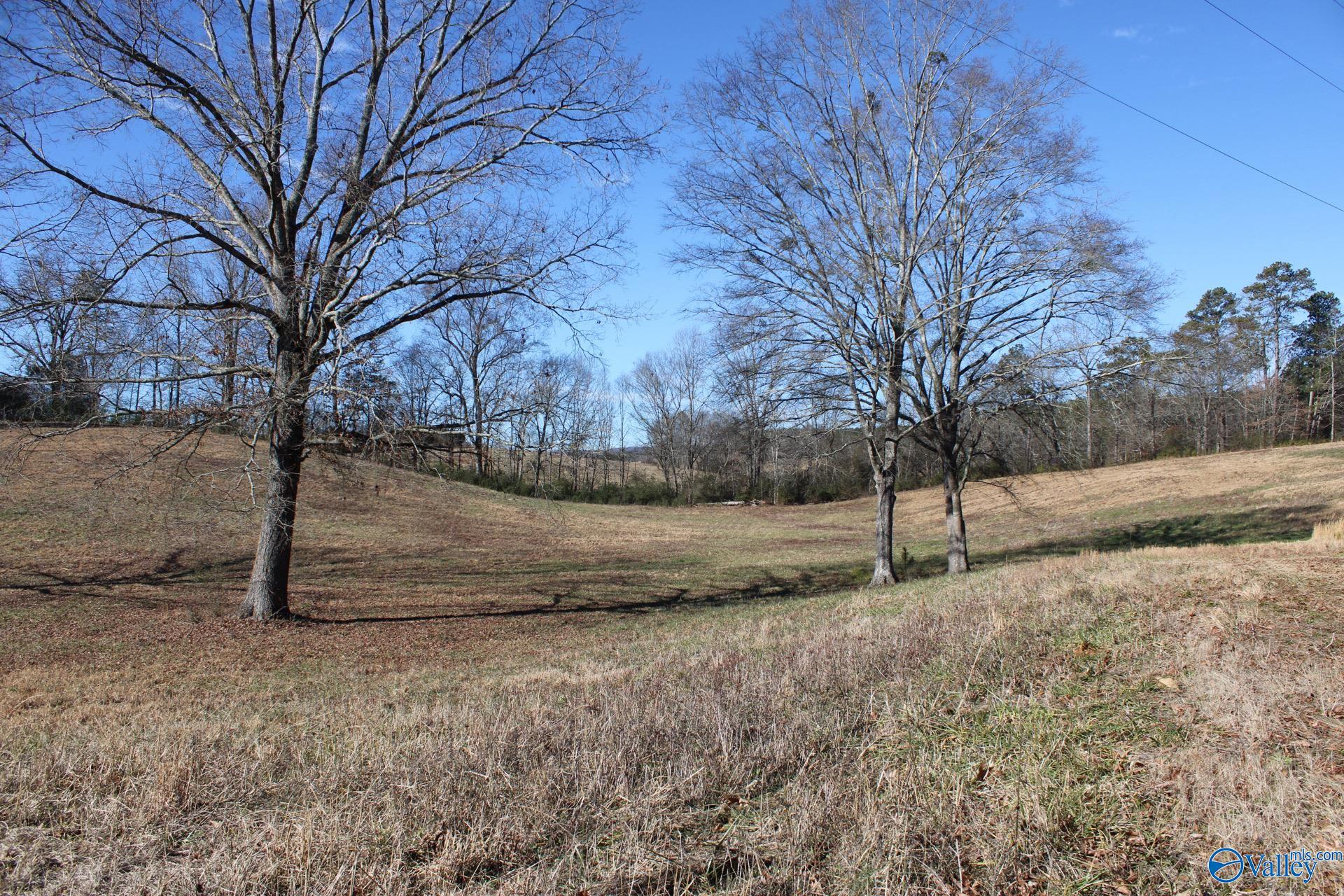 6.3 Acres Duck Springs Road, Attalla, Alabama image 1