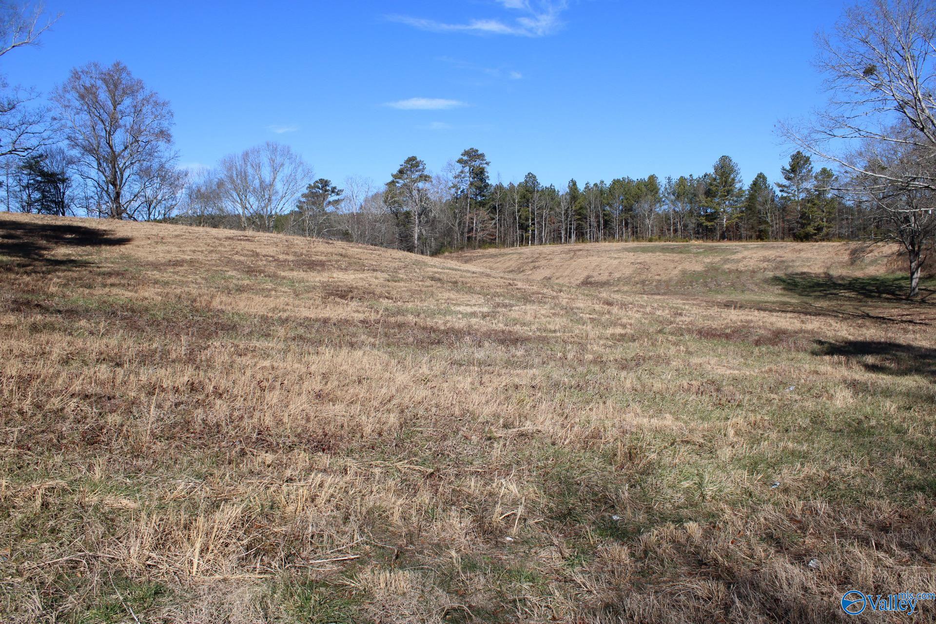 6.3 Acres Duck Springs Road, Attalla, Alabama image 10