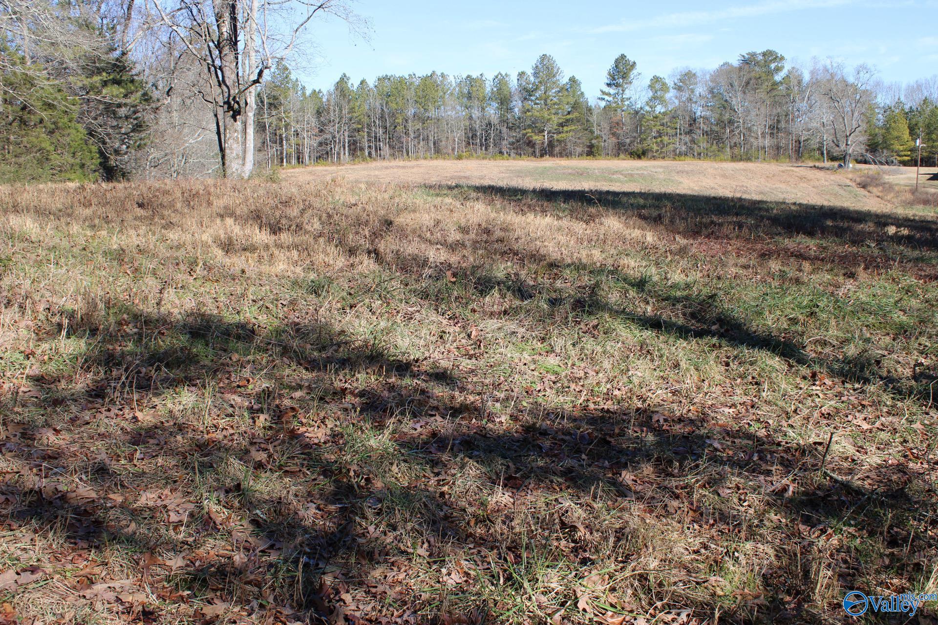 6.3 Acres Duck Springs Road, Attalla, Alabama image 8