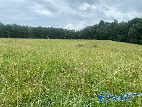Vacant Land For Sale - 10A Thornhill Road<br/> Etowah County, Boaz, AL 35956