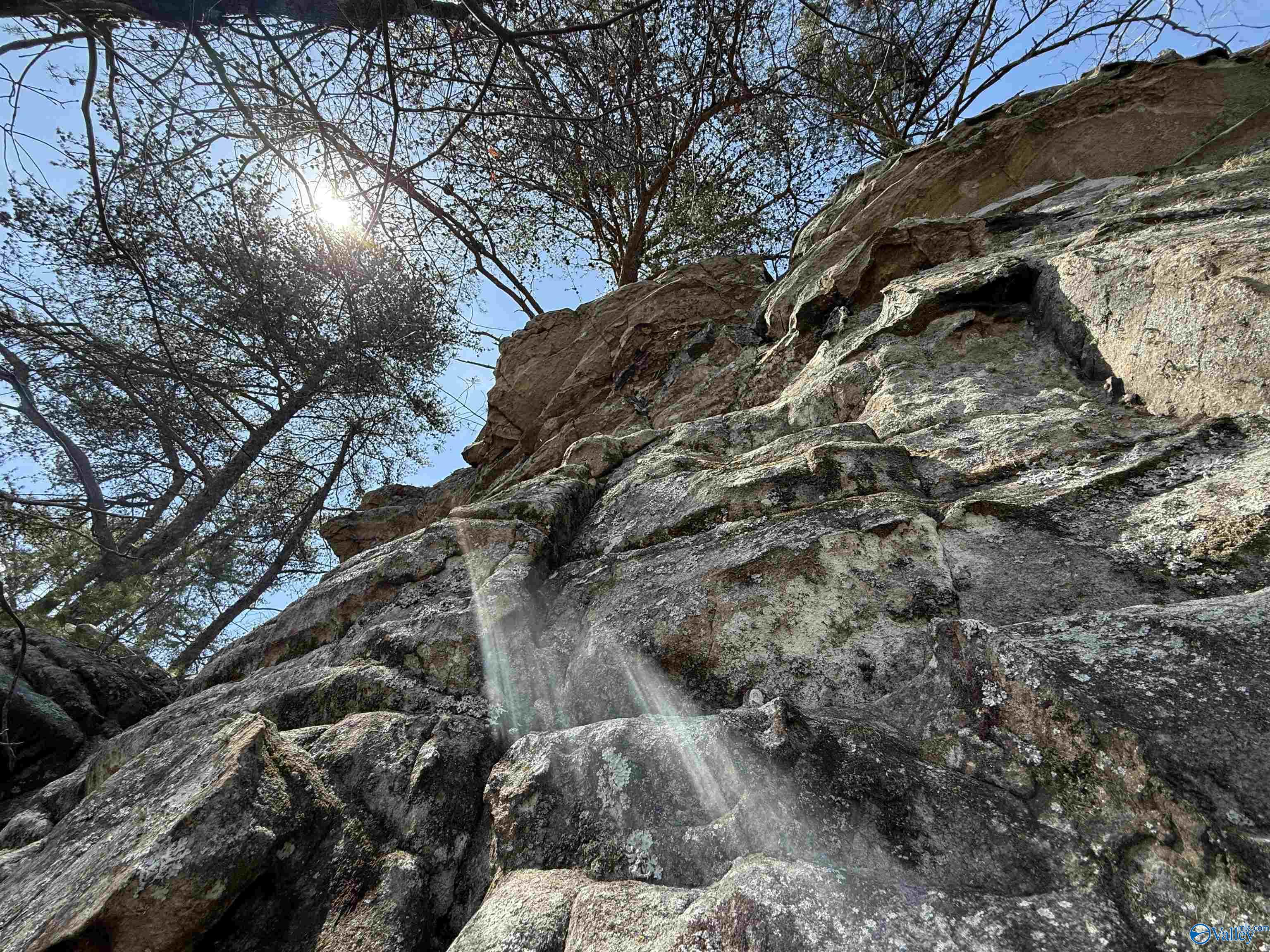 2449 Tumlin Gap Road, Altoona, Alabama image 15