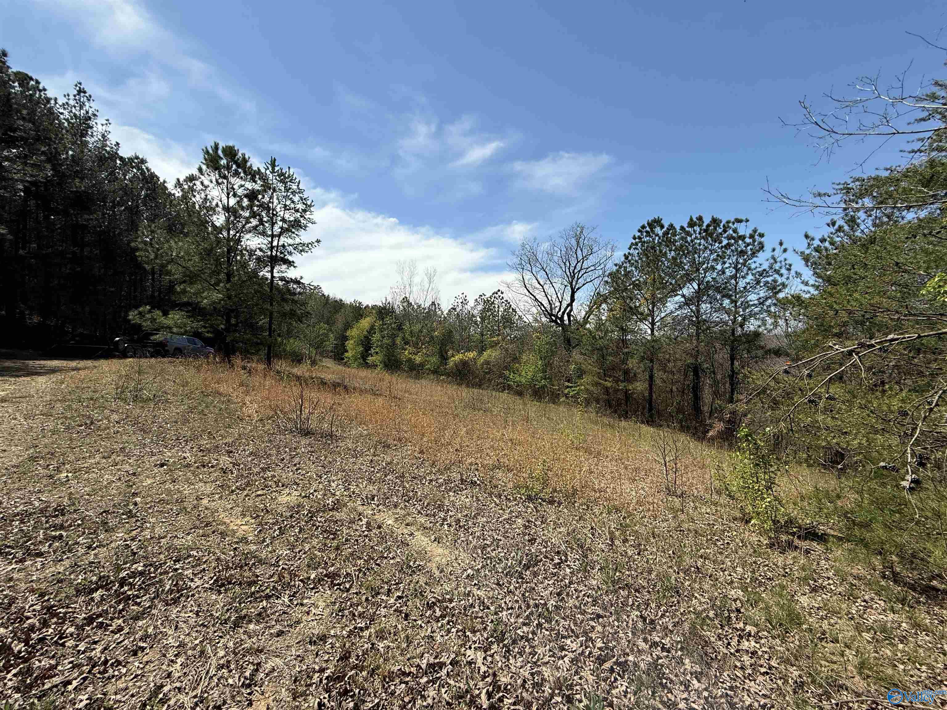 2449 Tumlin Gap Road, Altoona, Alabama image 11