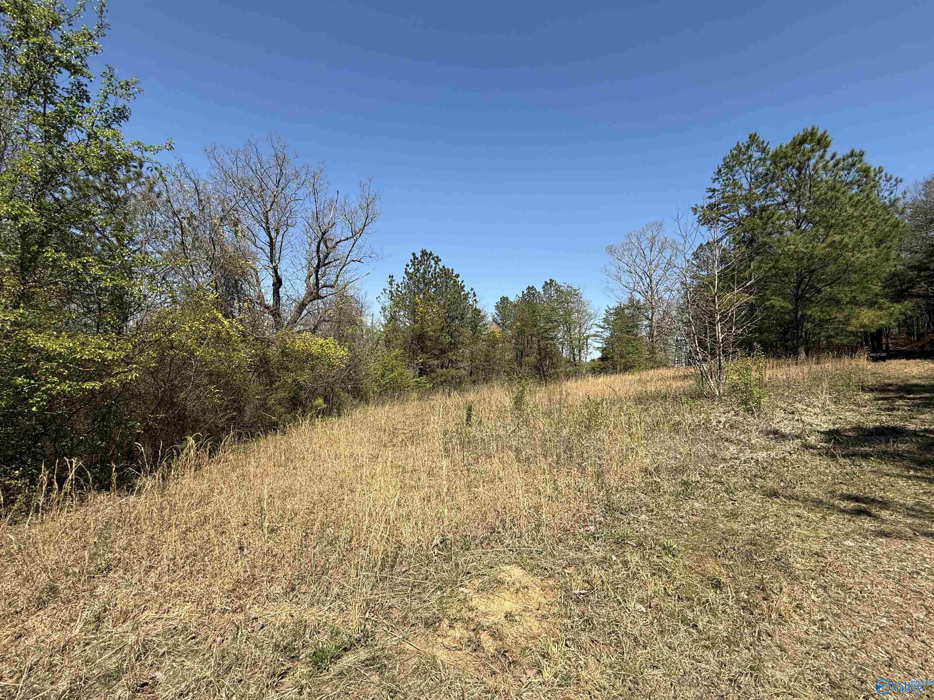 2449 Tumlin Gap Road, Altoona, Alabama image 12