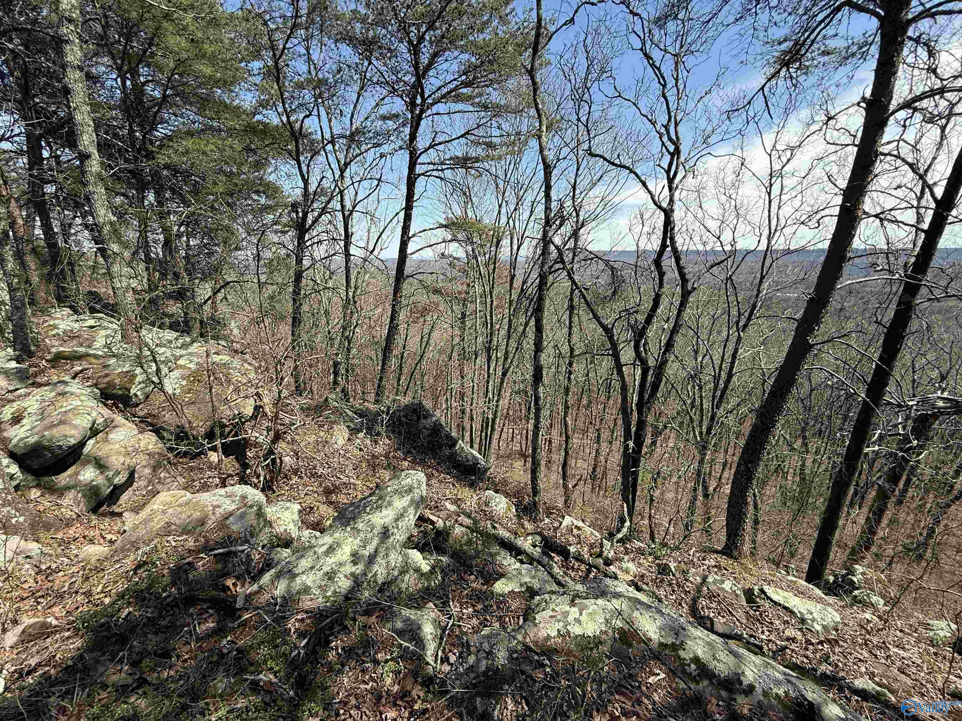 2449 Tumlin Gap Road, Altoona, Alabama image 14