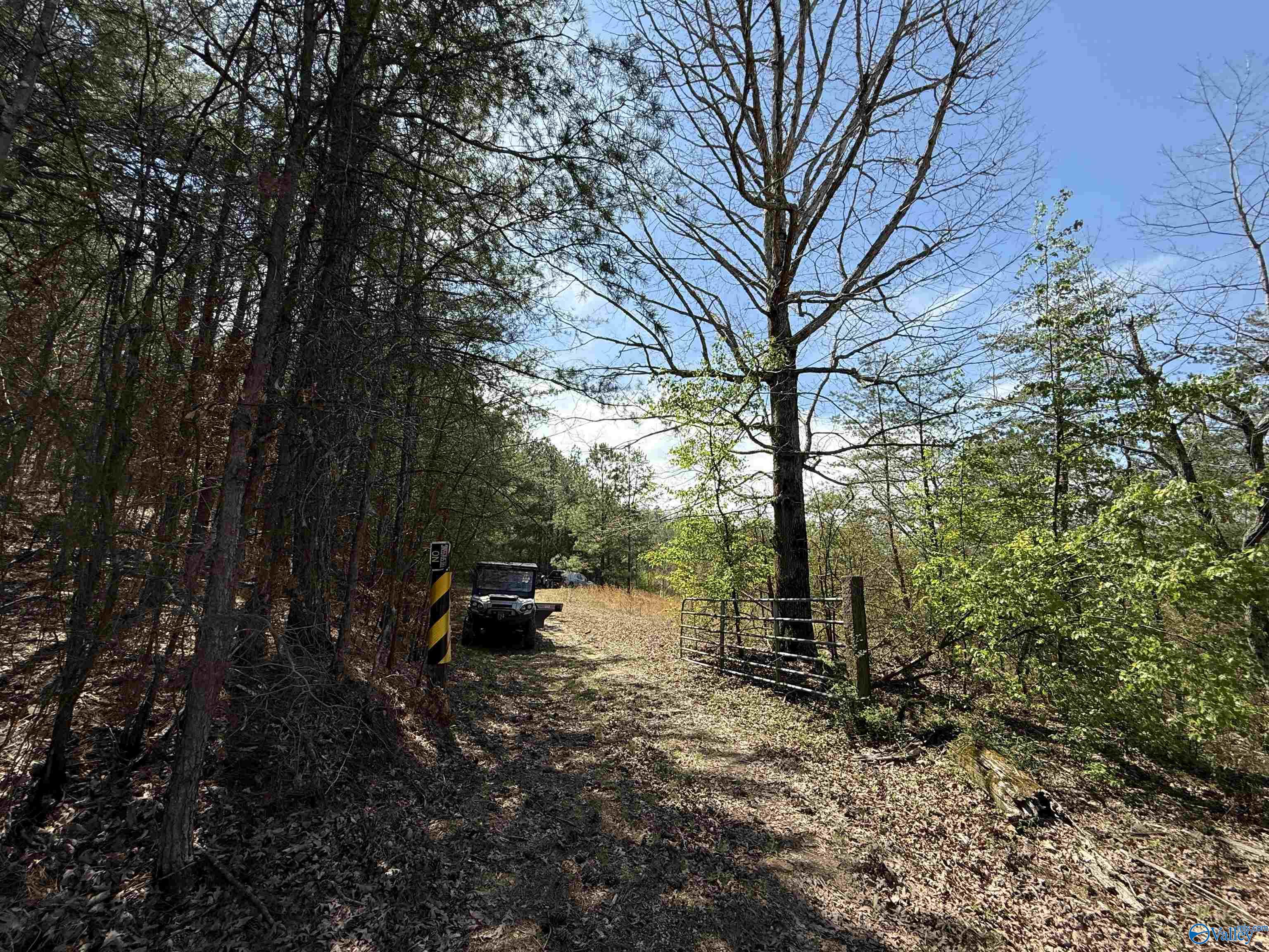 2449 Tumlin Gap Road, Altoona, Alabama image 9