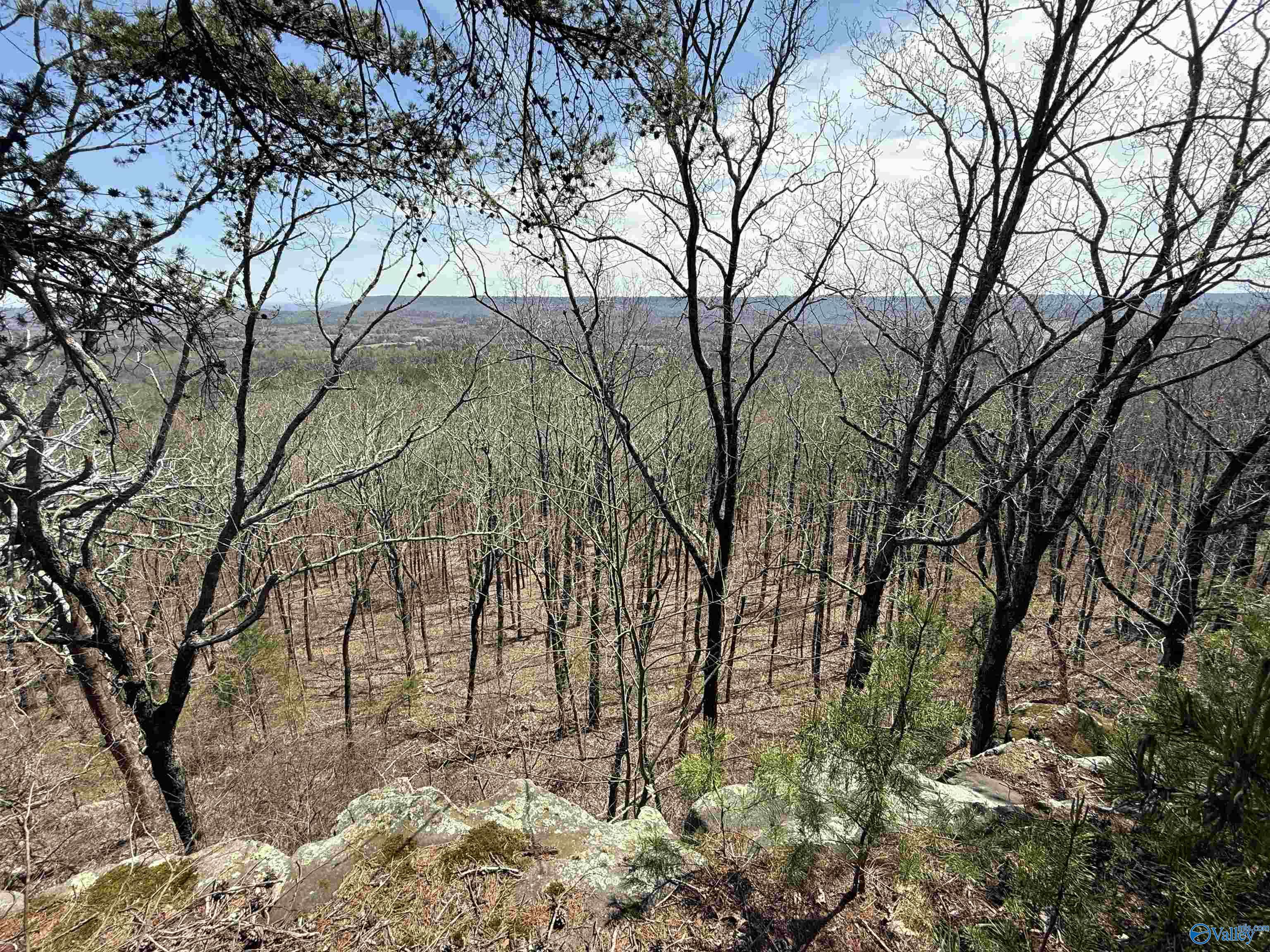 2449 Tumlin Gap Road, Altoona, Alabama image 17
