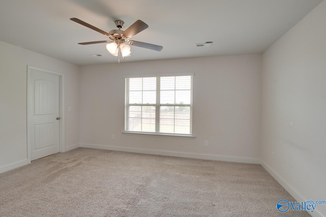 214 Tybee Drive, Madison, Alabama image 21