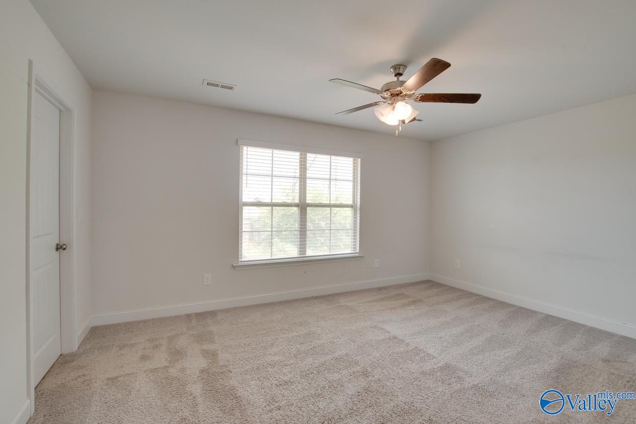 214 Tybee Drive, Madison, Alabama image 19