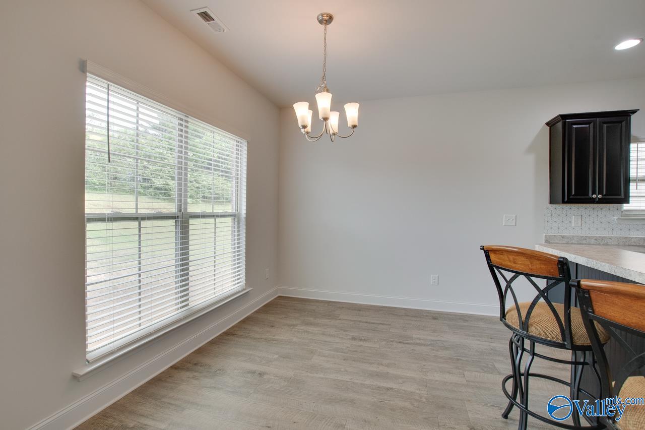 214 Tybee Drive, Madison, Alabama image 32