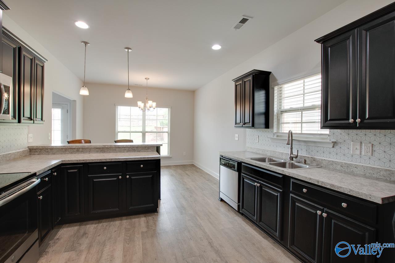 214 Tybee Drive, Madison, Alabama image 2