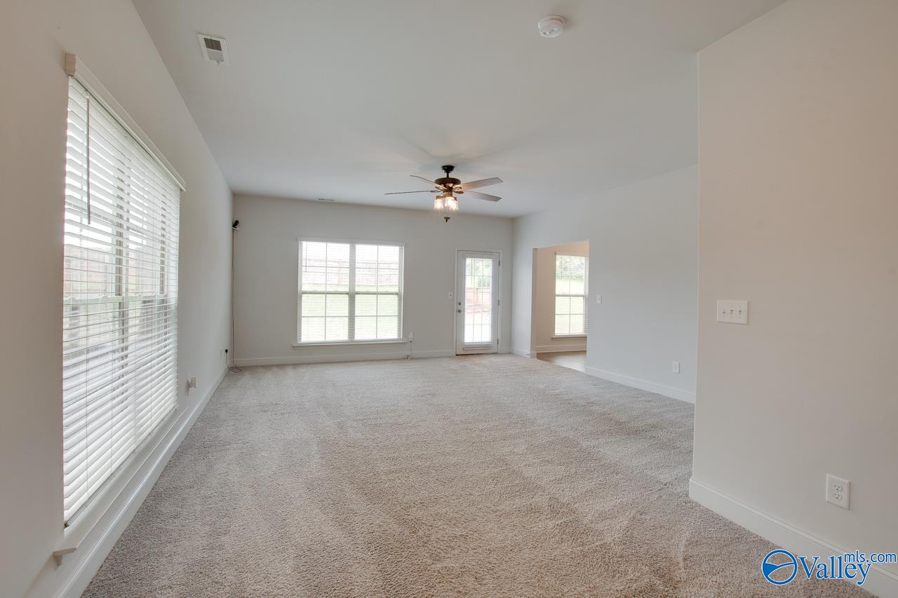 214 Tybee Drive, Madison, Alabama image 29