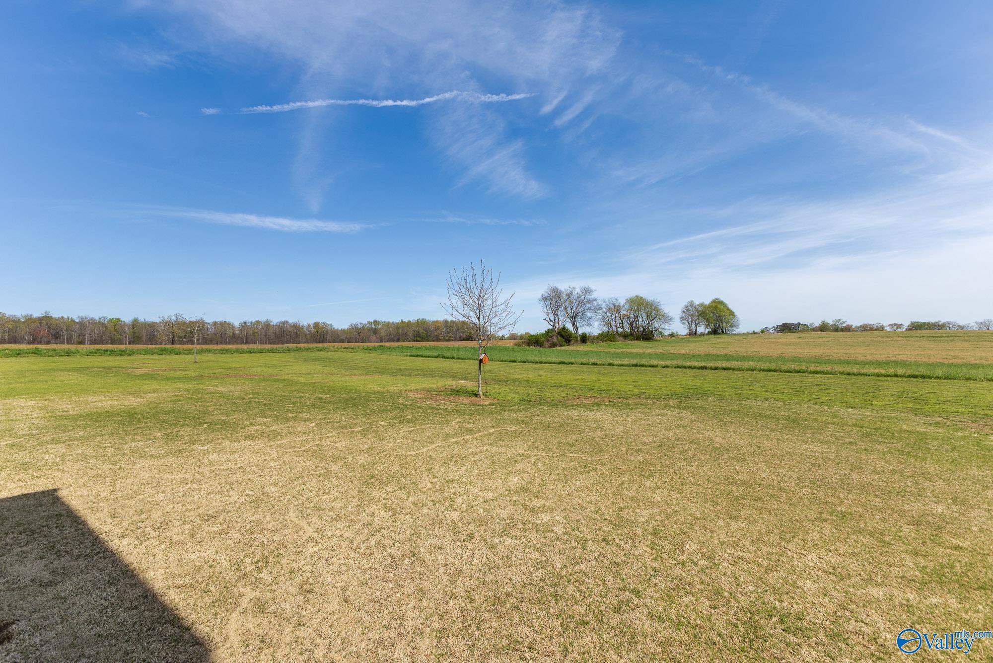 20224 Sharp Road, Athens, Alabama image 39