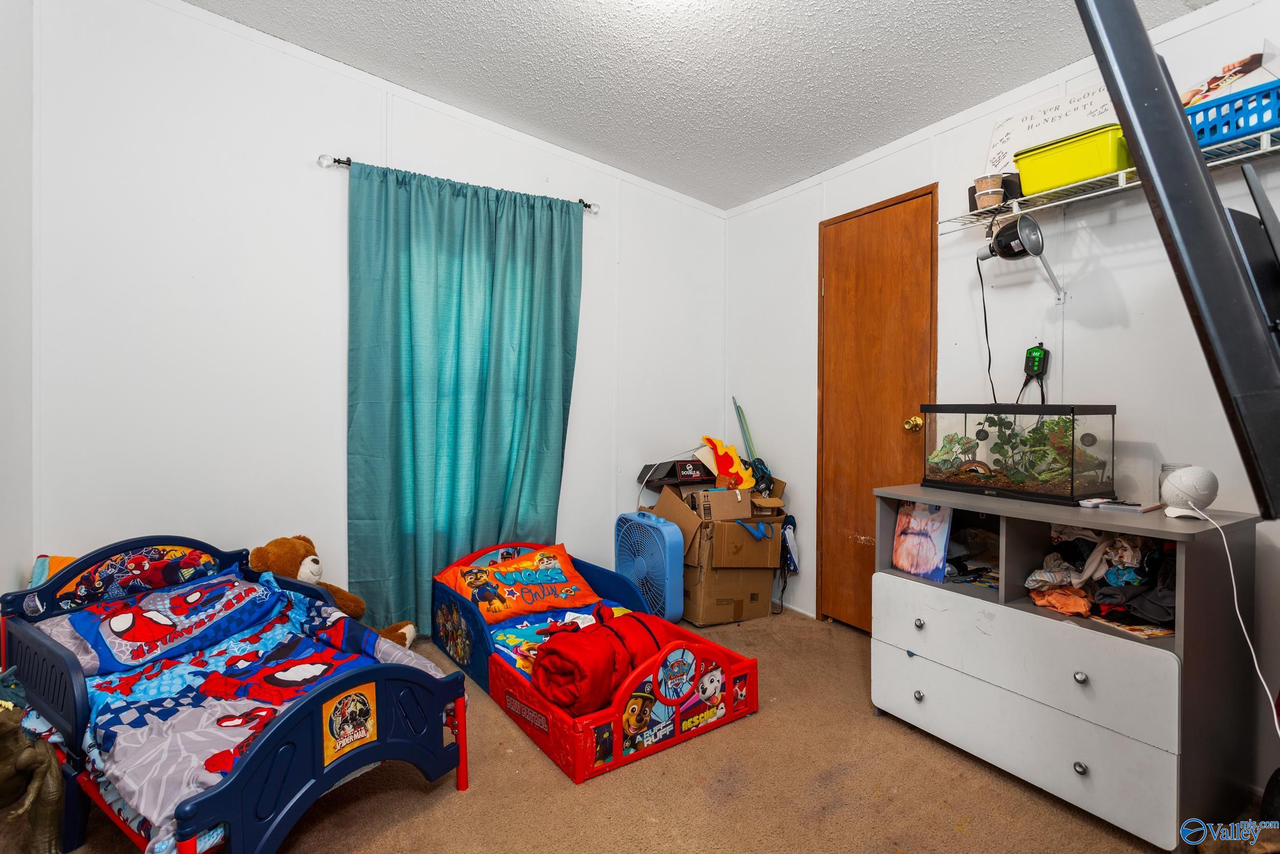 5920 Green Road, Southside, Alabama image 20