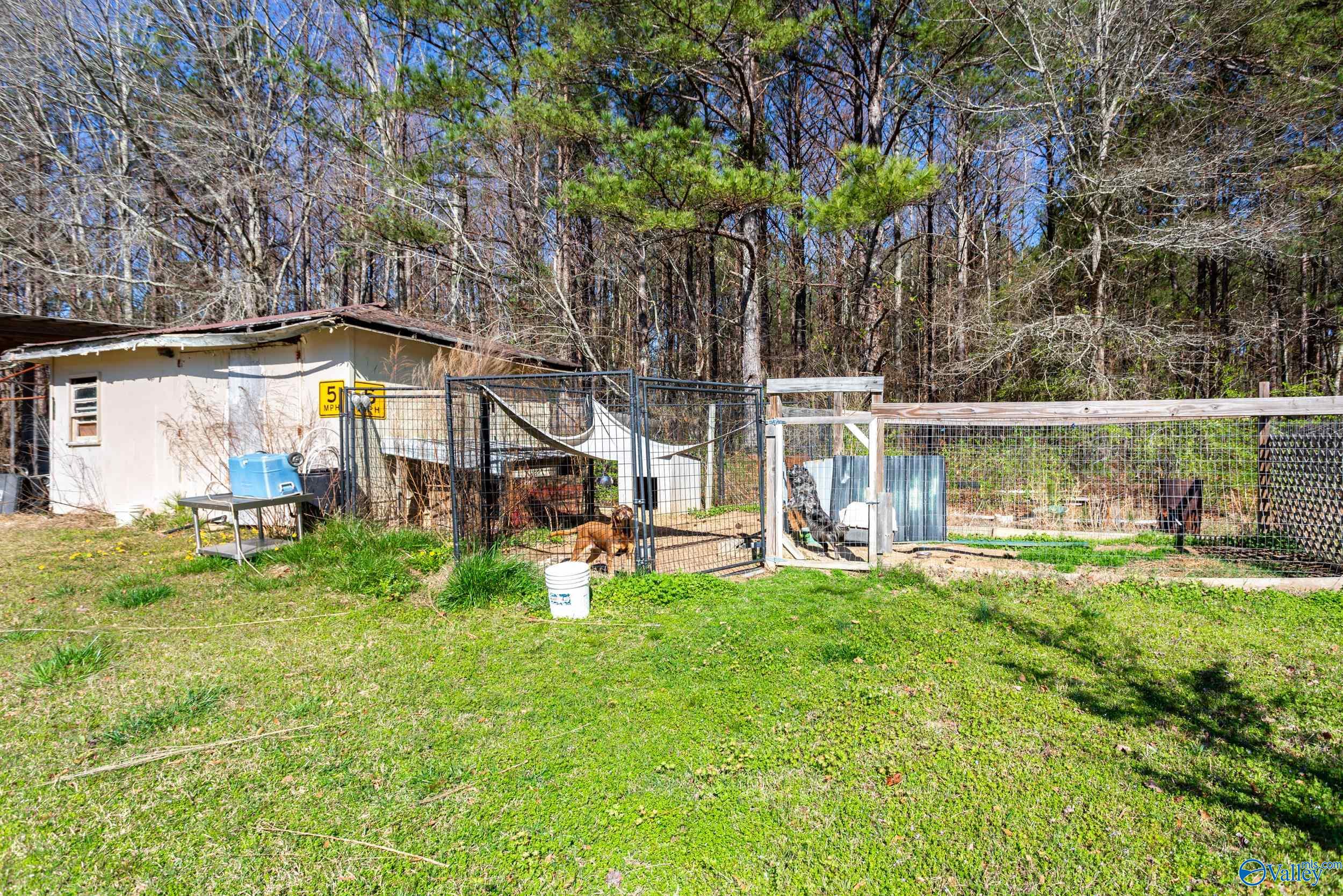 5920 Green Road, Southside, Alabama image 32