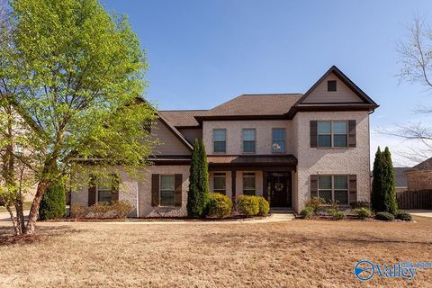 Photo of 32 Abby Glen Way, Gurley, AL 35748 (MLS # 21909575)