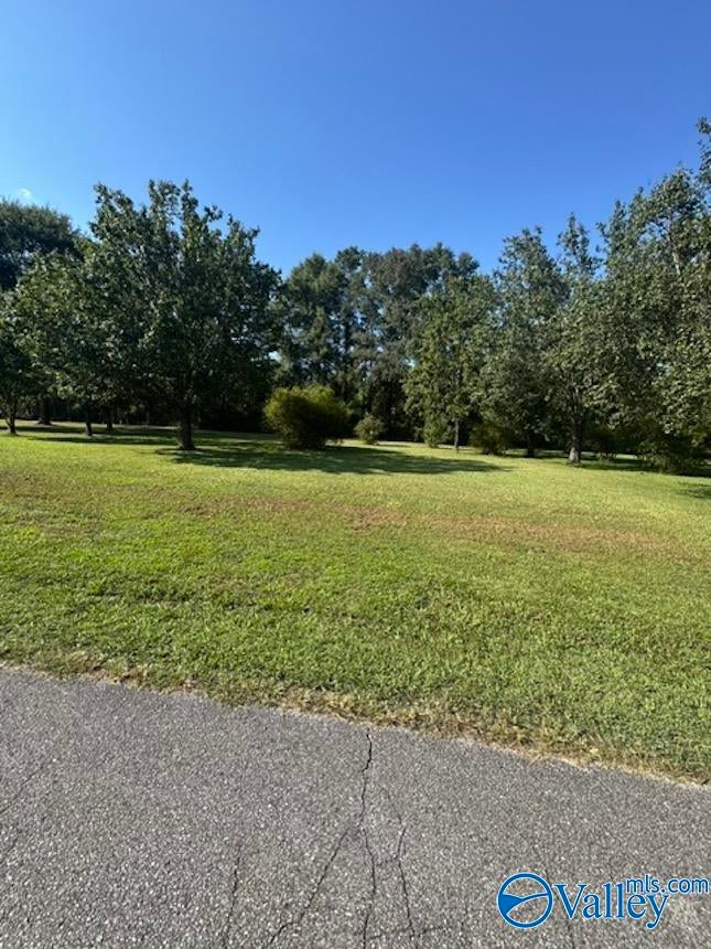 .42 Acre Guthery Avenue