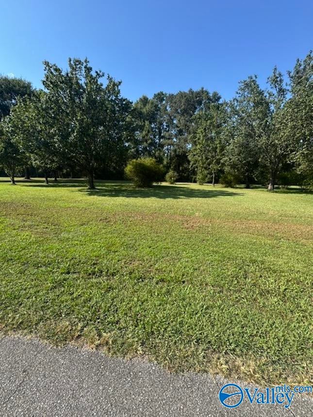.42 Acre Guthery Avenue