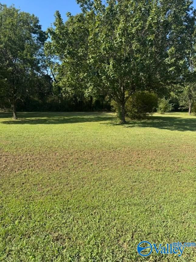 .42 Acre Guthery Avenue