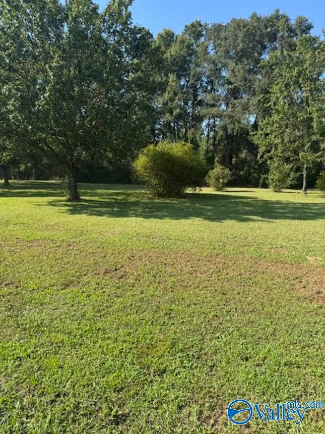 .42 Acre Guthery Avenue