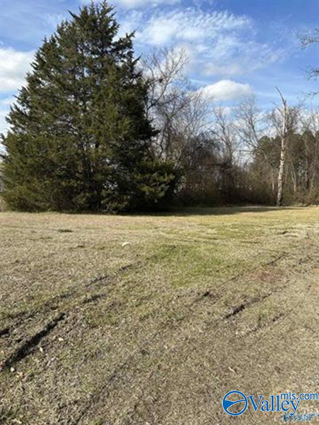1018 Springfield Avenue, Gadsden, Alabama image 1