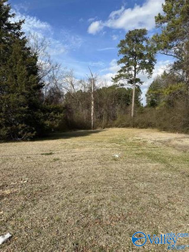 1018 Springfield Avenue, Gadsden, Alabama image 2
