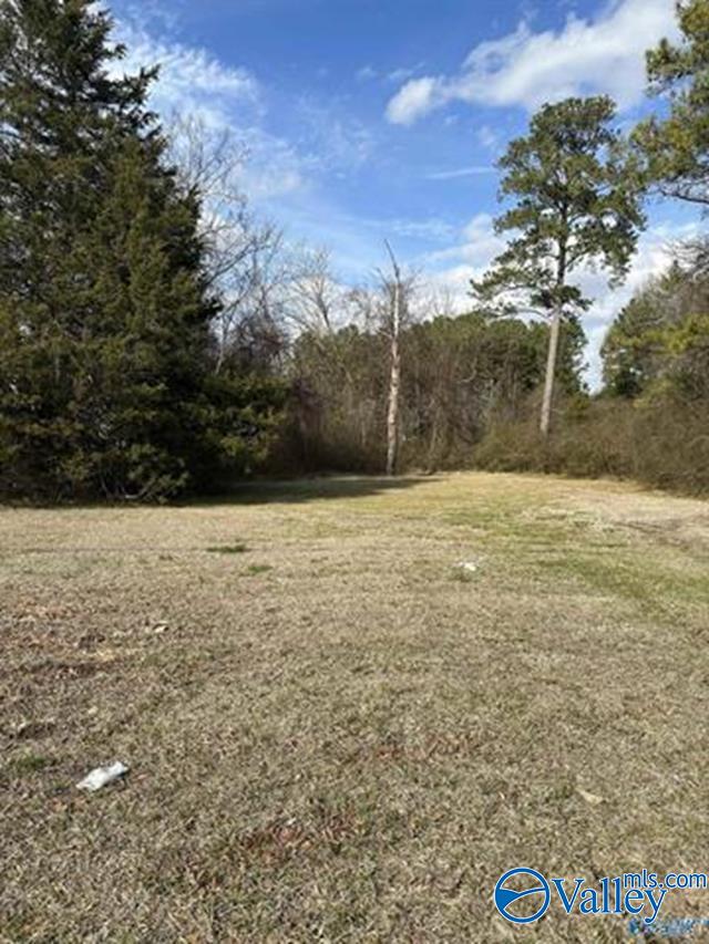 1018 Springfield Avenue, Gadsden, Alabama image 3