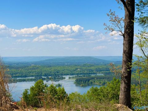 Photo of Lot 7 County Road 224, Dutton, AL 35744 (MLS # 21908986)