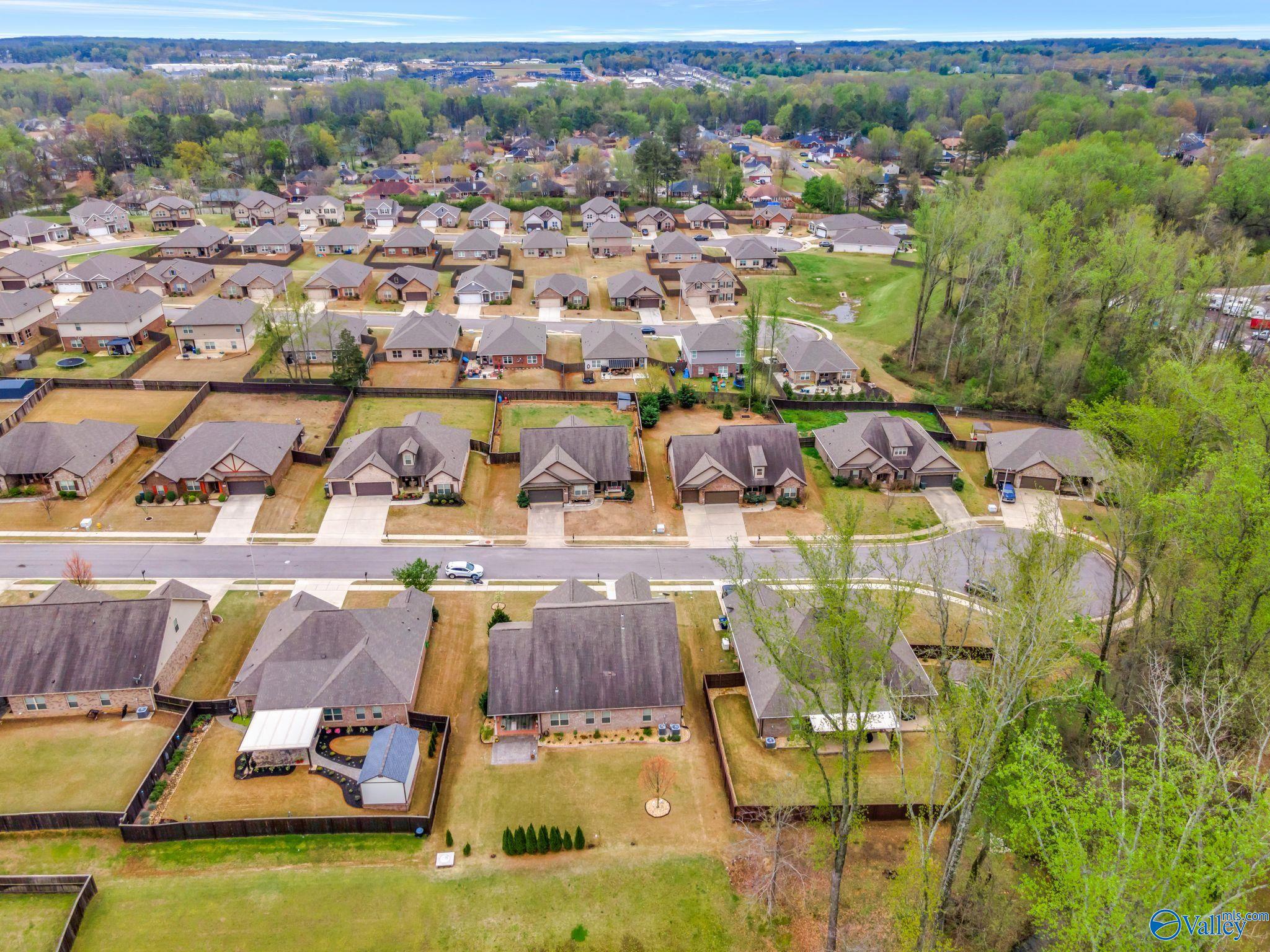 103 Oakside Circle, Madison, Alabama image 7
