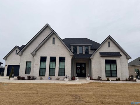 Homes For Sale - 27565 Spyglass Lane<br/> Athens, AL 35613