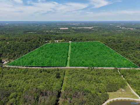 Vacant Land For Sale - 17 ACRES County Highway 26<br/> Blountsville, AL 35031
