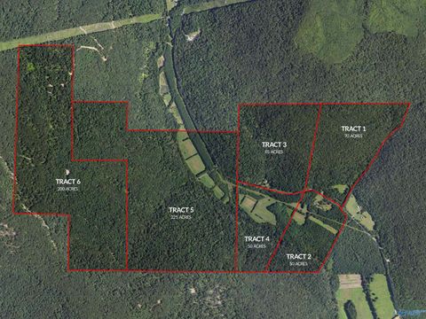 Vacant Land For Sale - 3818 -3 County Road 4 #TRACT 3<br/> Hollytree, AL 35751