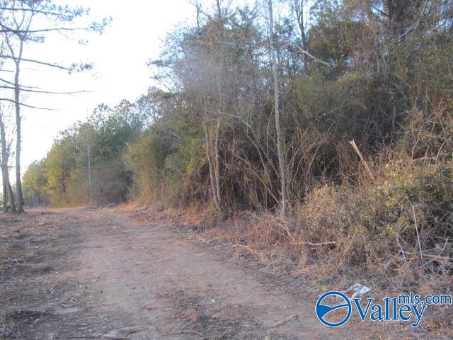 2 Martling Road, Albertville, Alabama image 13