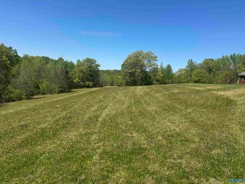 Vacant Land For Sale - LOT 5 Taylor Road<br/> Elkmont, AL 35620