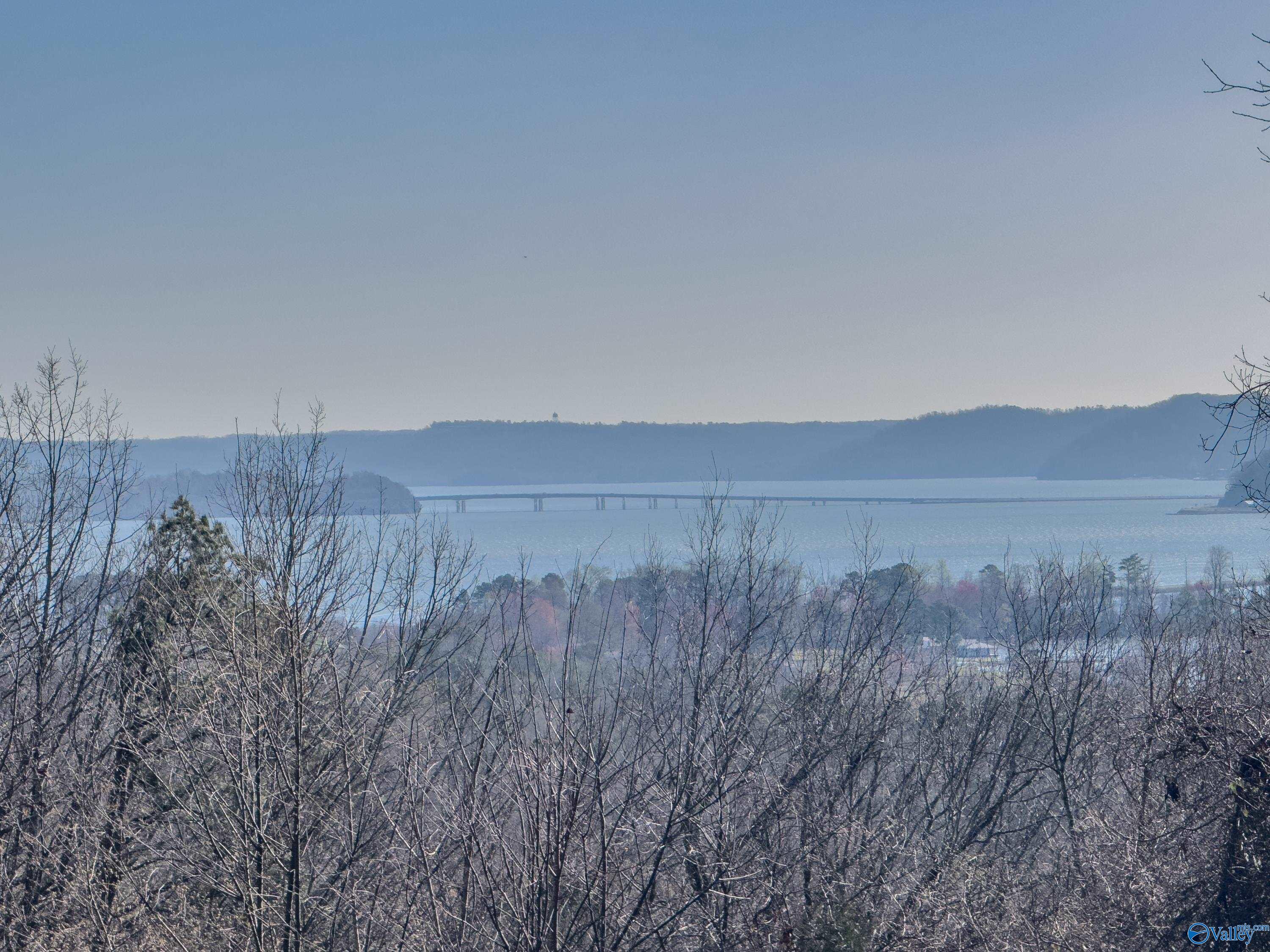 250 Blue Water View, Guntersville, Alabama image 45