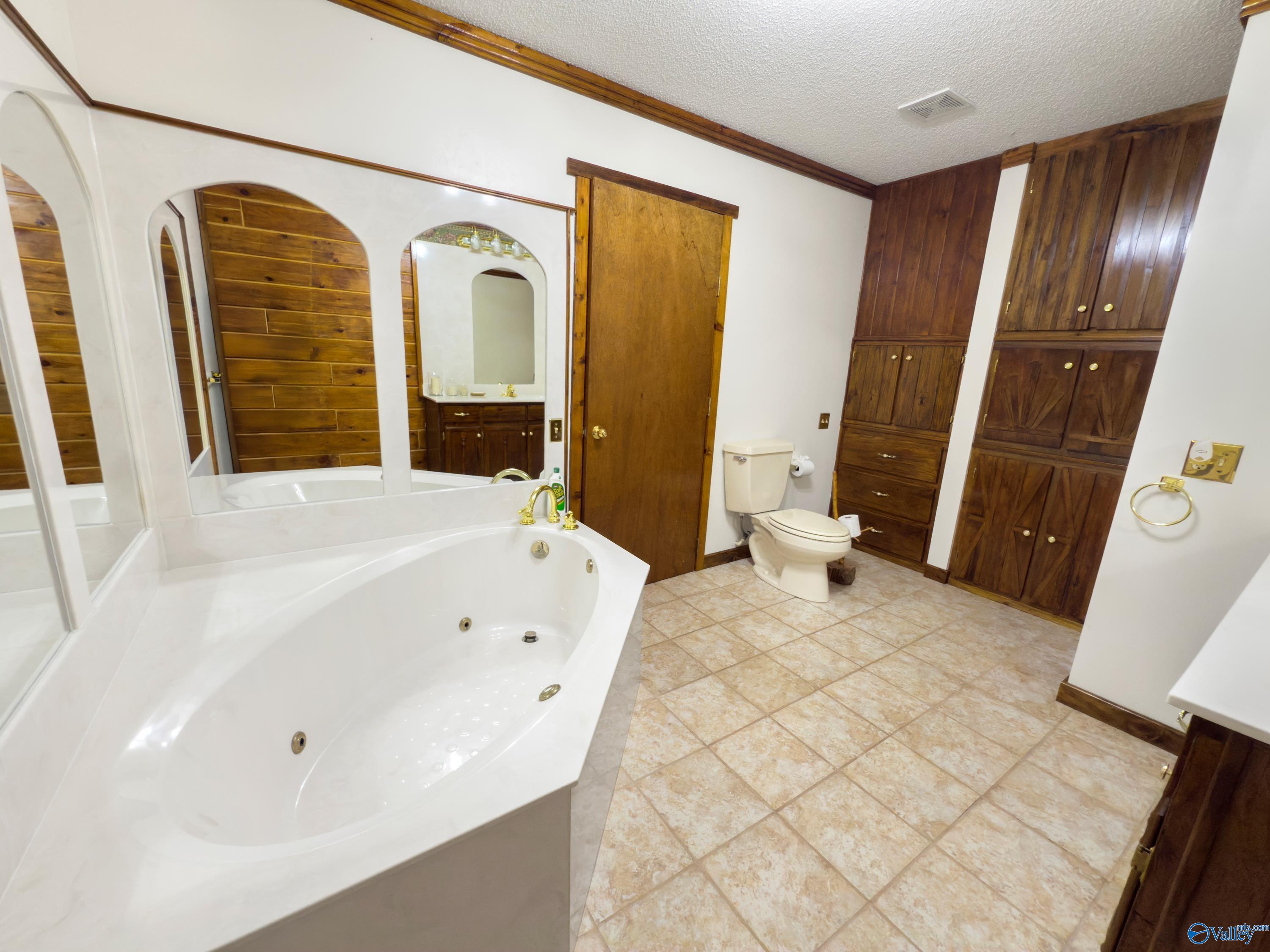 250 Blue Water View, Guntersville, Alabama image 14
